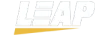 Leap Gaming